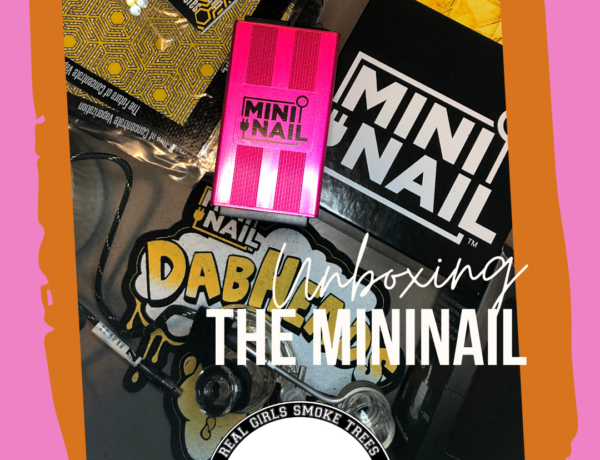 Unboxing TheMiniNail: Nail for Dabbing